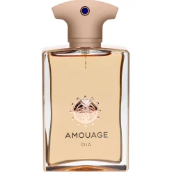 Amouage Dia Man Eau de Parfum Spray 100ml