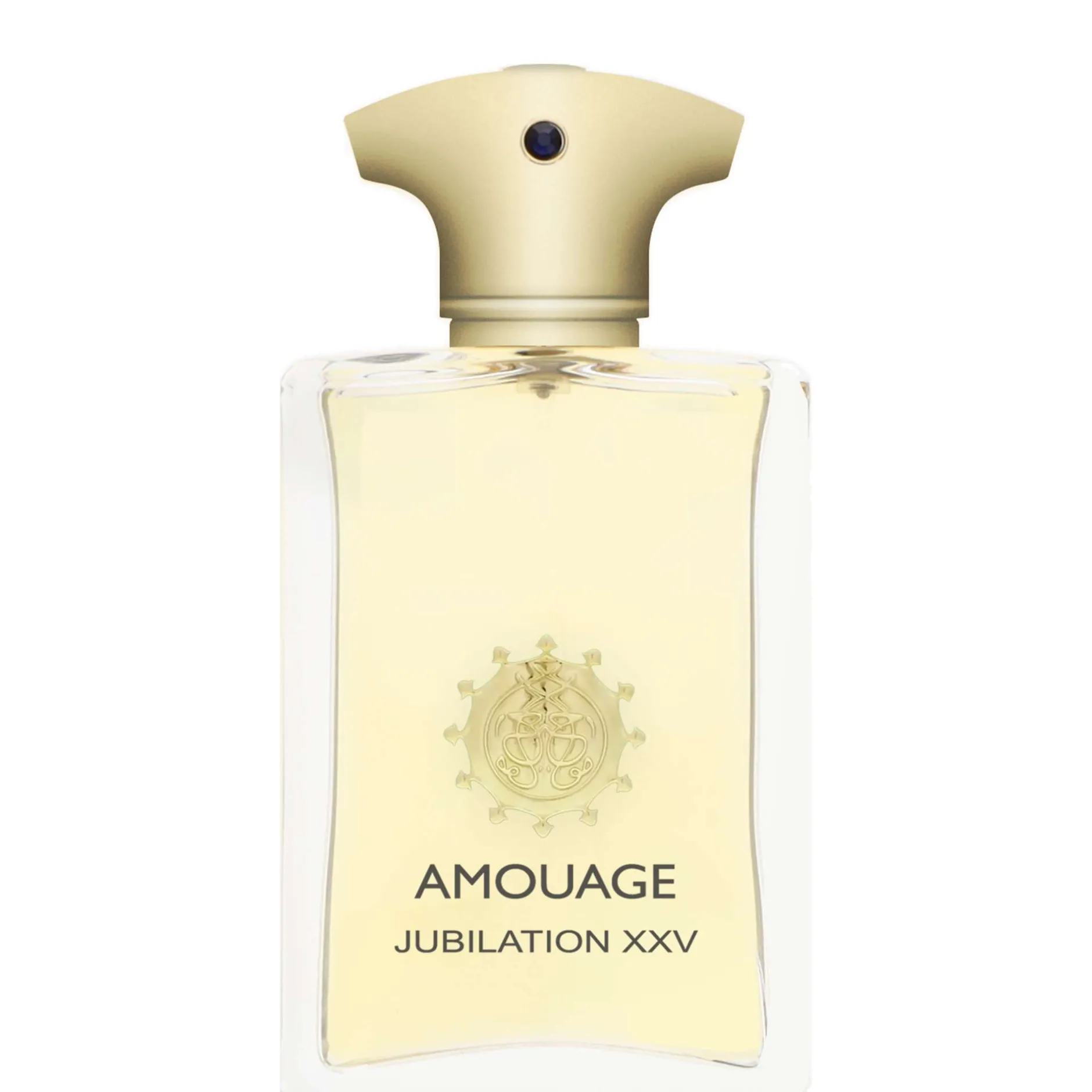 Amouage Jubilation XXV Man Eau de Parfum Spray 100ml New