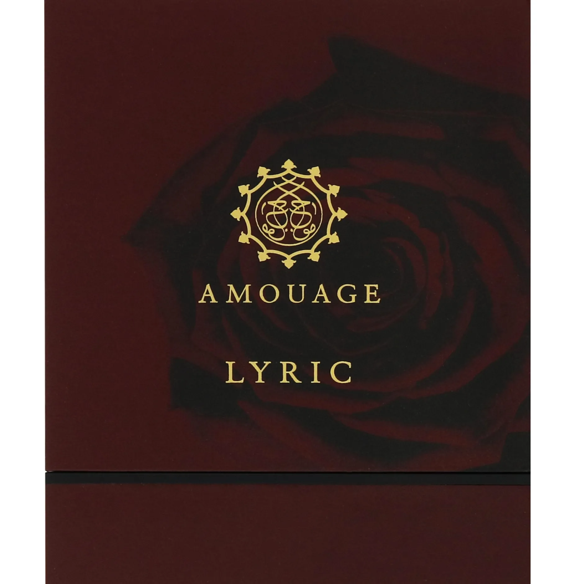 Amouage Lyric Woman Eau de Parfum Spray 100ml Hot