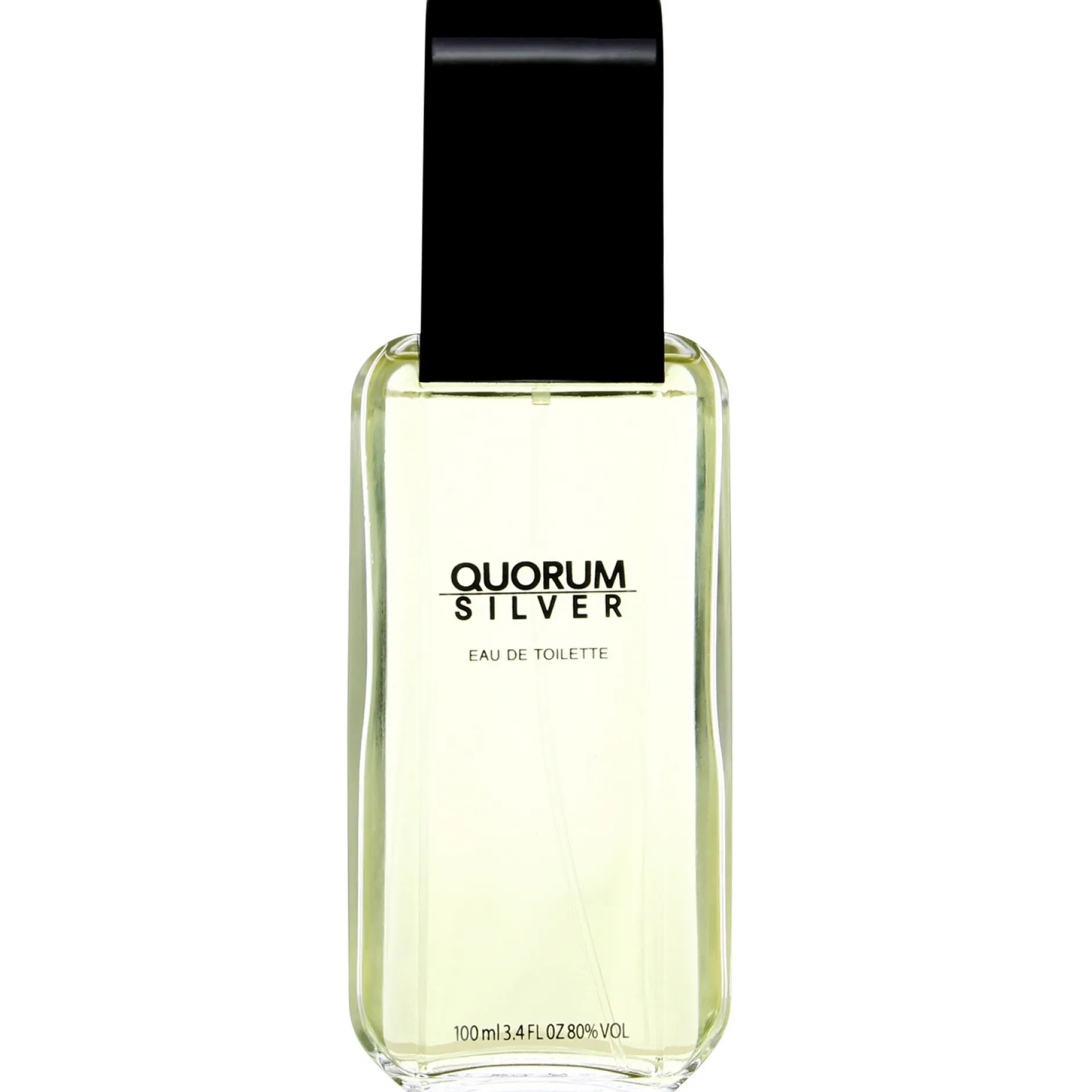 Antonio Puig Quorum Silver Eau de Toilette 100ml Outlet