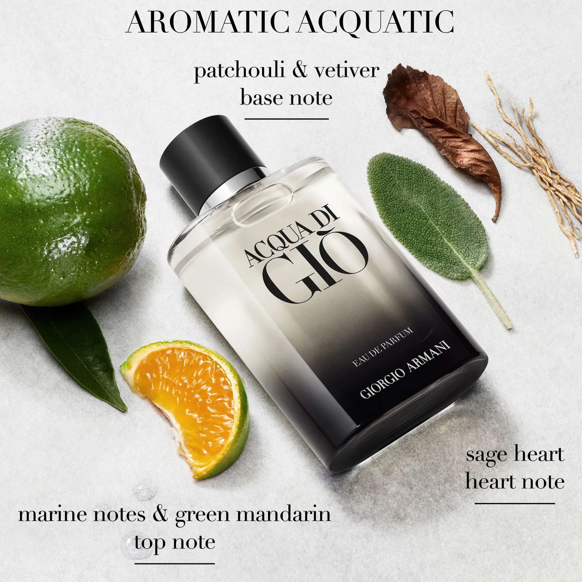 Armani Acqua Di Gio Eau de Parfum Spray 200ml Online
