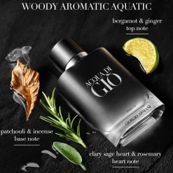 Armani Acqua Di Gio Homme Parfum Spray 100ml Outlet
