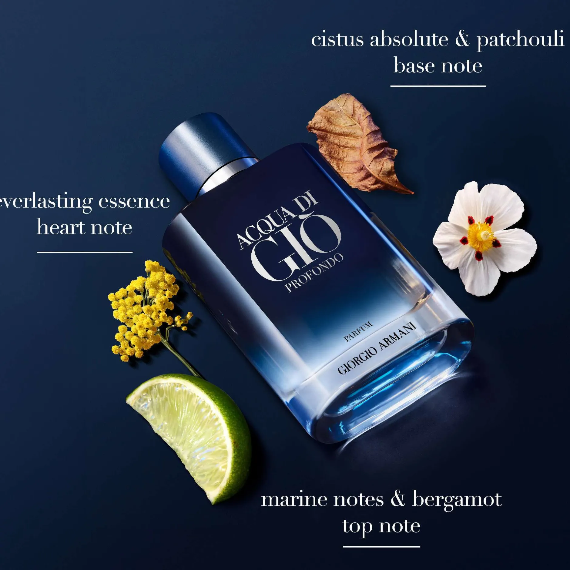 Armani Acqua Di Gio Profondo Parfum Spray 200ml Sale