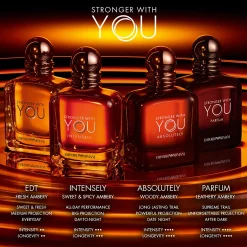 Armani Stronger With You Absolutely Eau de Parfum Spray 100ml Discount