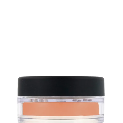 bareMinerals Mineral Veil Tinted 9g New