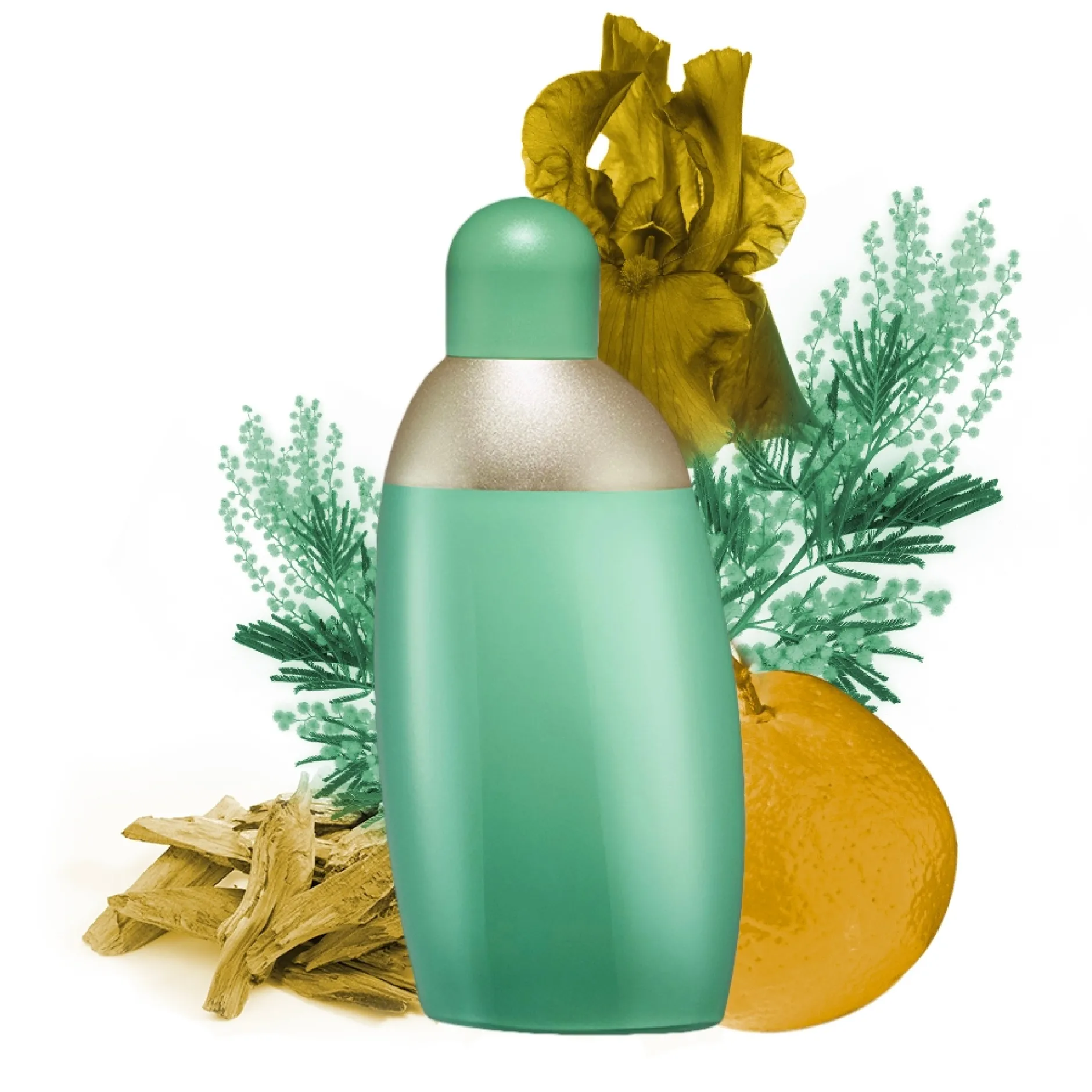 Cacharel Eden Eau de Parfum Spray 30ml