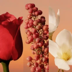 Calvin Klein Eternity For Women Eau de Parfum Intense 50ml Online