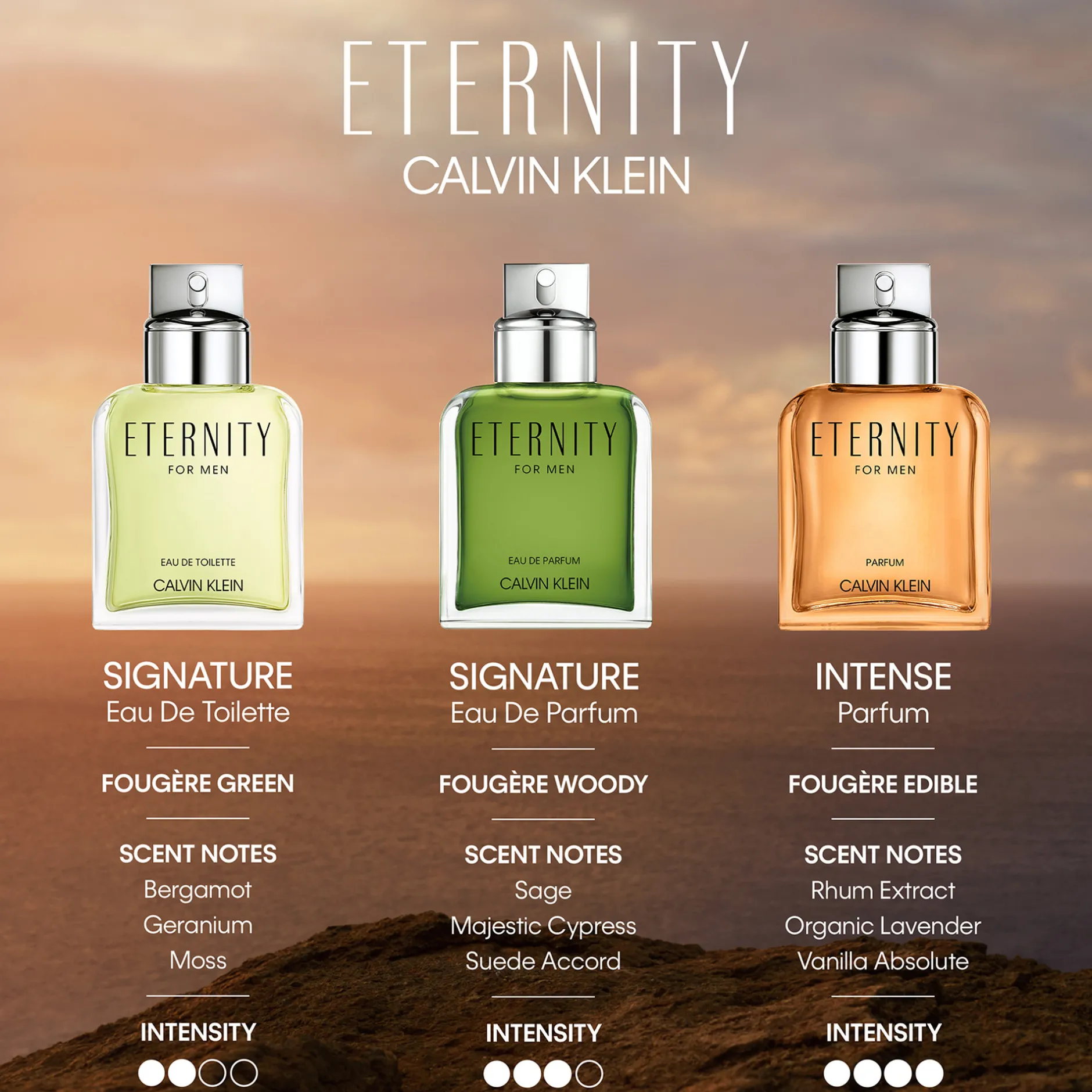 Calvin Klein Eternity For Men Parfum 50ml New