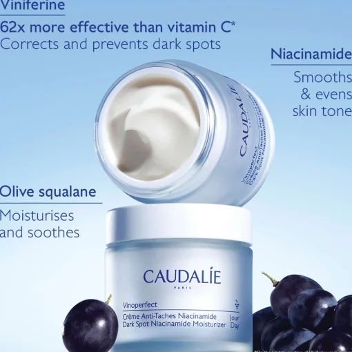 Caudalie Vinoperfect Brightening Refillable Moisturiser with Niacinamide 50ml Online