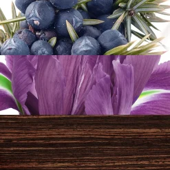 Davidoff The Game Eau de Toilette Spray 100ml Clearance