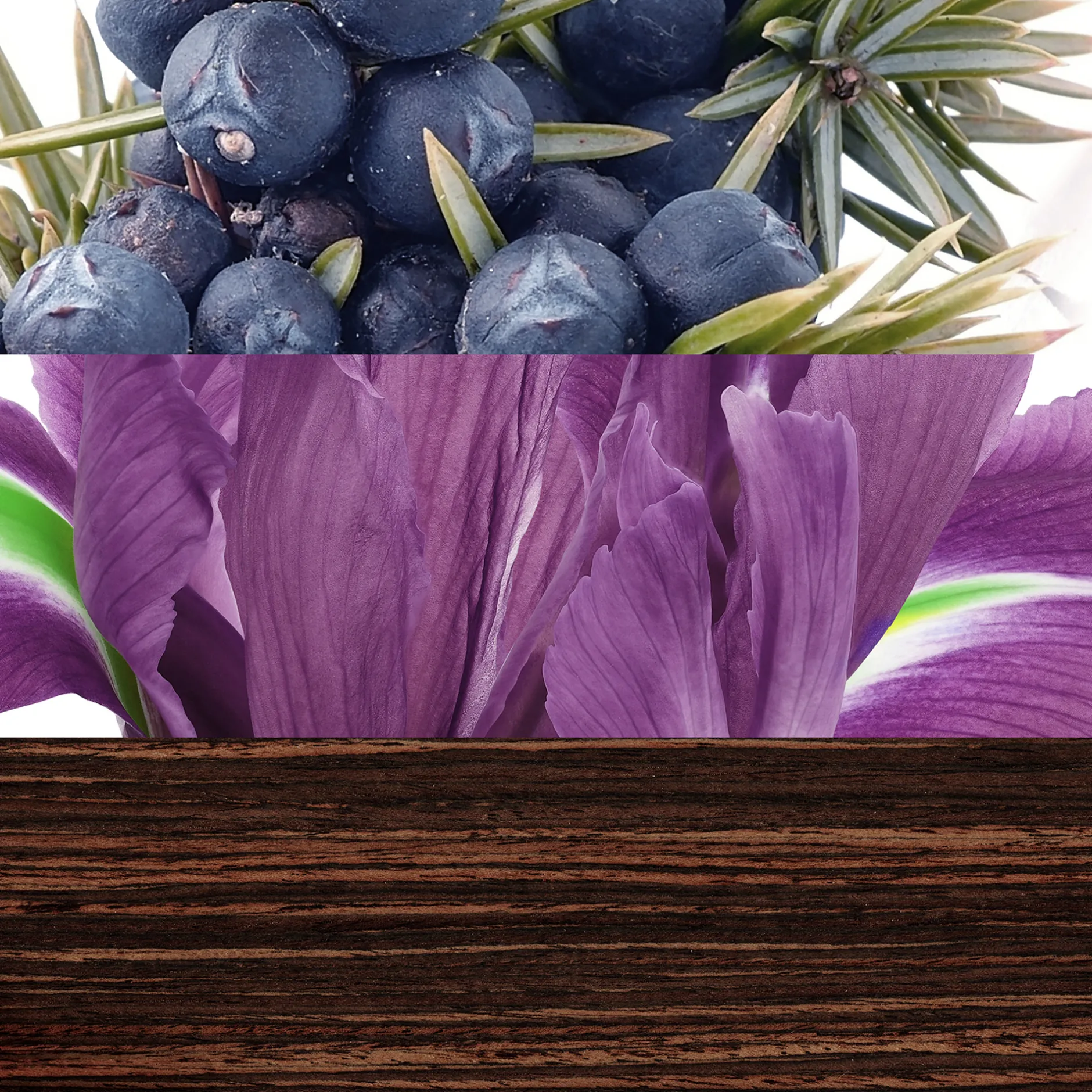 Davidoff The Game Eau de Toilette Spray 100ml Clearance