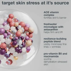 Dermalogica Multivitamin Power Recovery Cream 50ml