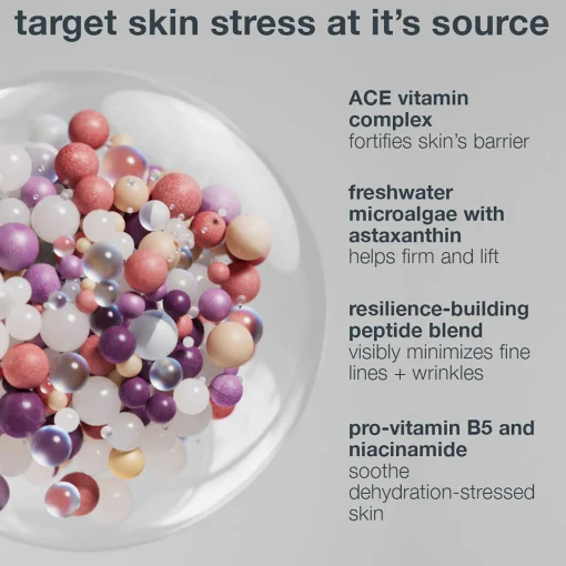 Dermalogica Multivitamin Power Recovery Cream 50ml
