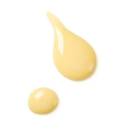 Dr. Hauschka Face Care Revitalising Day Lotion 50ml