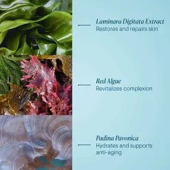 ELEMIS Pro-Collagen Night Cream 50ml
