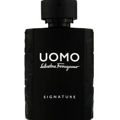 FERRAGAMO Uomo Signature Eau de Parfum Spray 100ml Discount