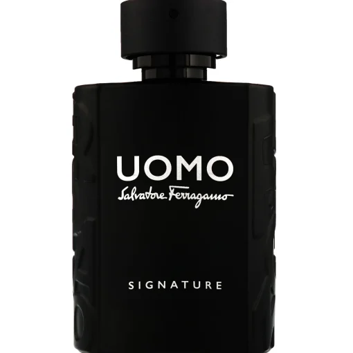 FERRAGAMO Uomo Signature Eau de Parfum Spray 100ml Discount
