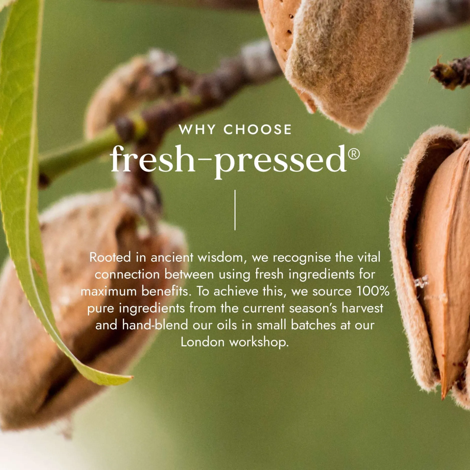 Fushi Body Care Organic Sweet Almond Oil 100ml Hot