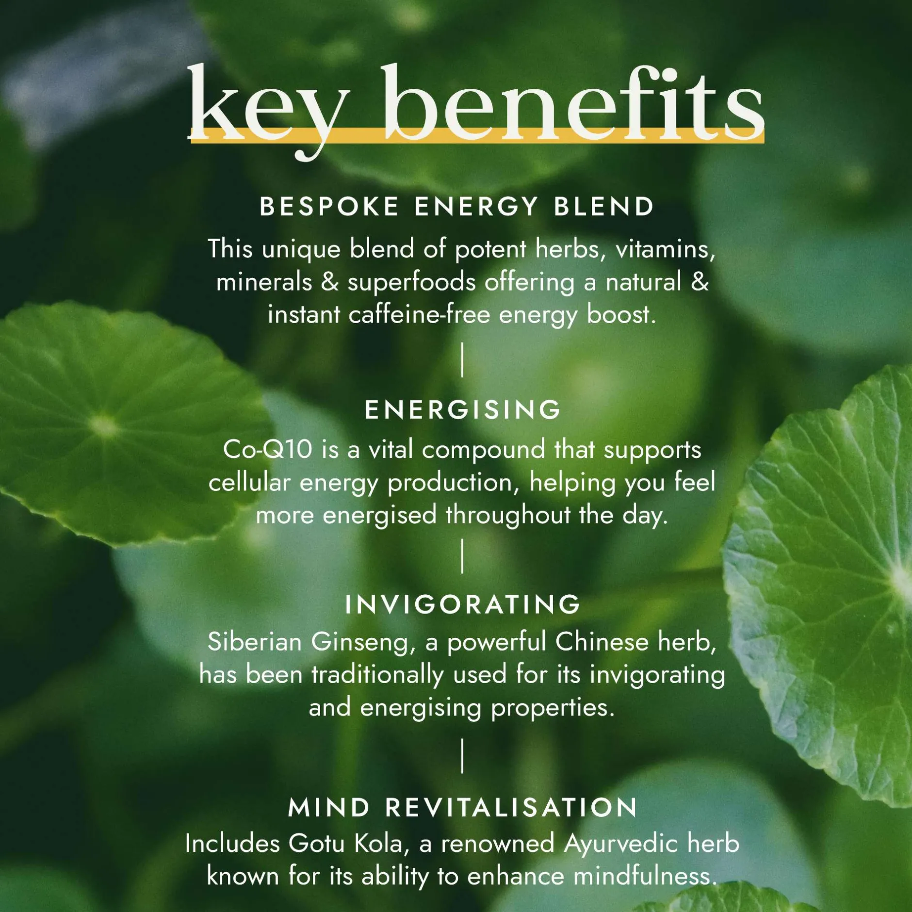Fushi Herbal & Vitamin Blends Energiplex x 60 Capsules