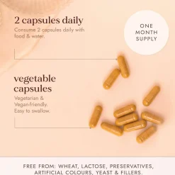 Fushi Herbal & Vitamin Blends Energiplex x 60 Capsules