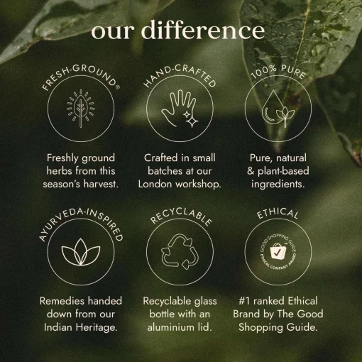 Fushi Herbal & Vitamin Blends Nootropic Brain Blend x 60 Capsules Discount
