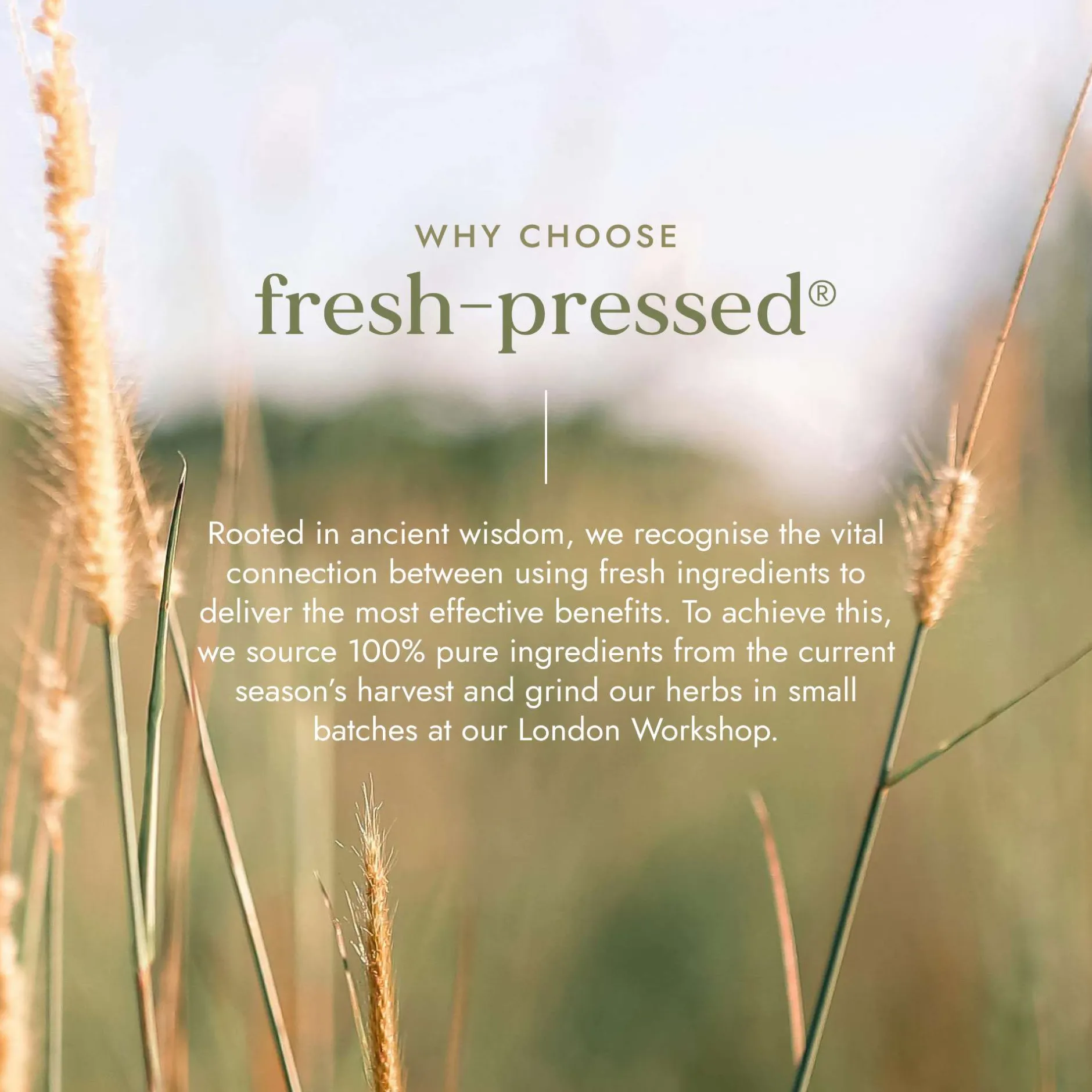 Fushi Natural Cold-Pressed Juices Organic Aloe Vera Juice 1000ml Discount