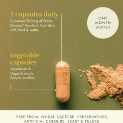 Fushi Single Herb Supplements Organic Burdock Root x 60 Capsules Best