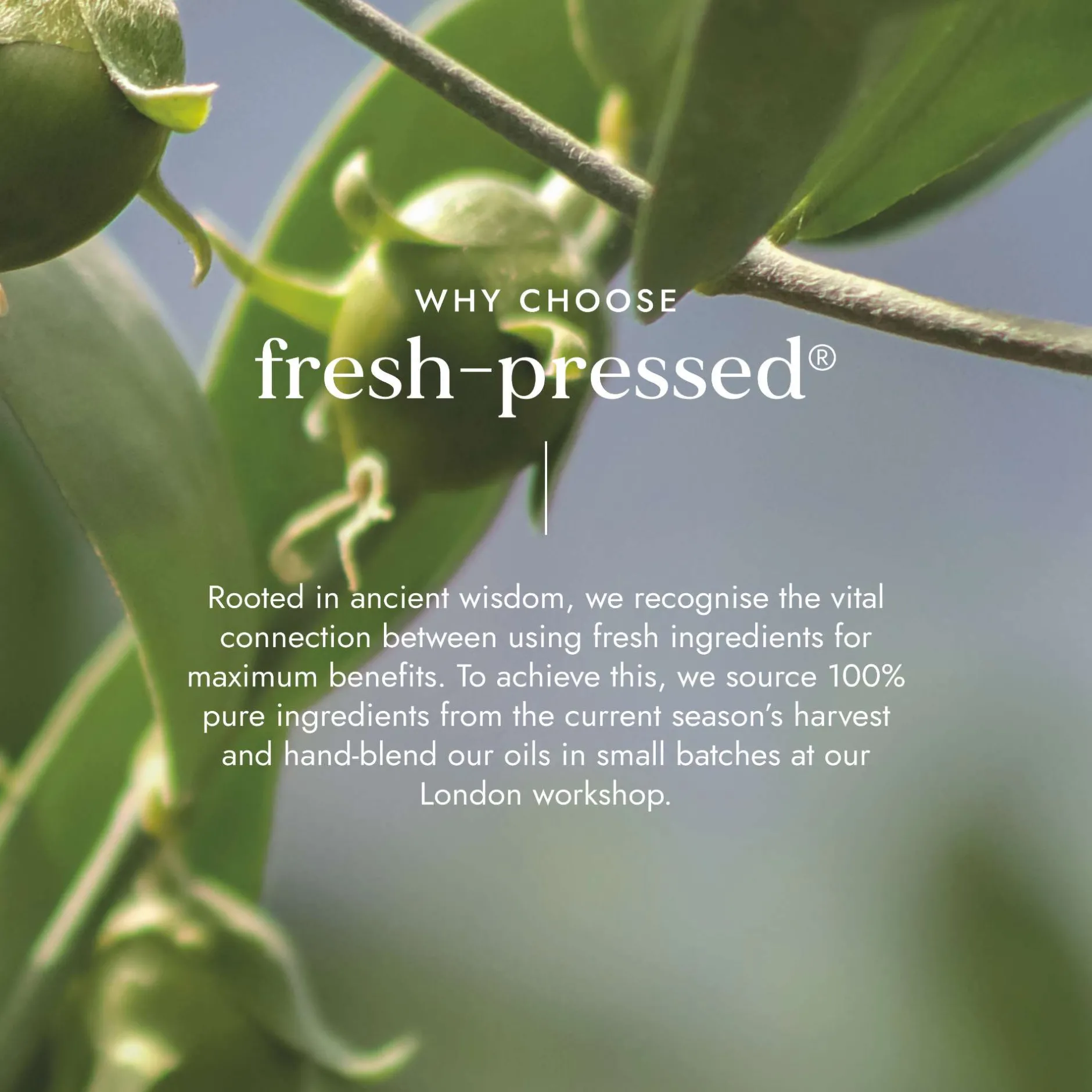 Fushi Skincare Organic Jojoba Oil 30ml New