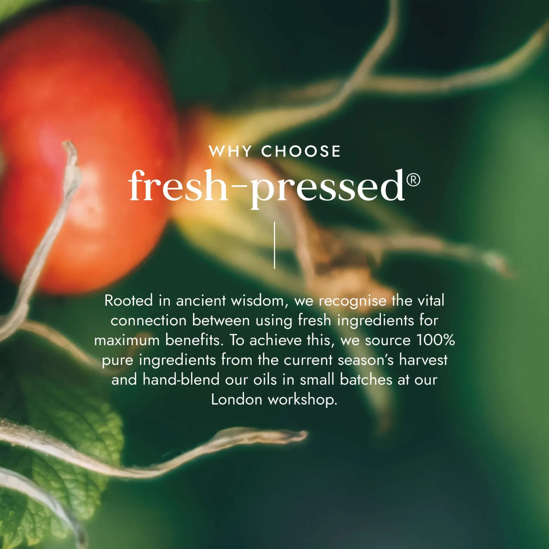 Fushi Skincare Organic Rosehip Oil 100ml Sale
