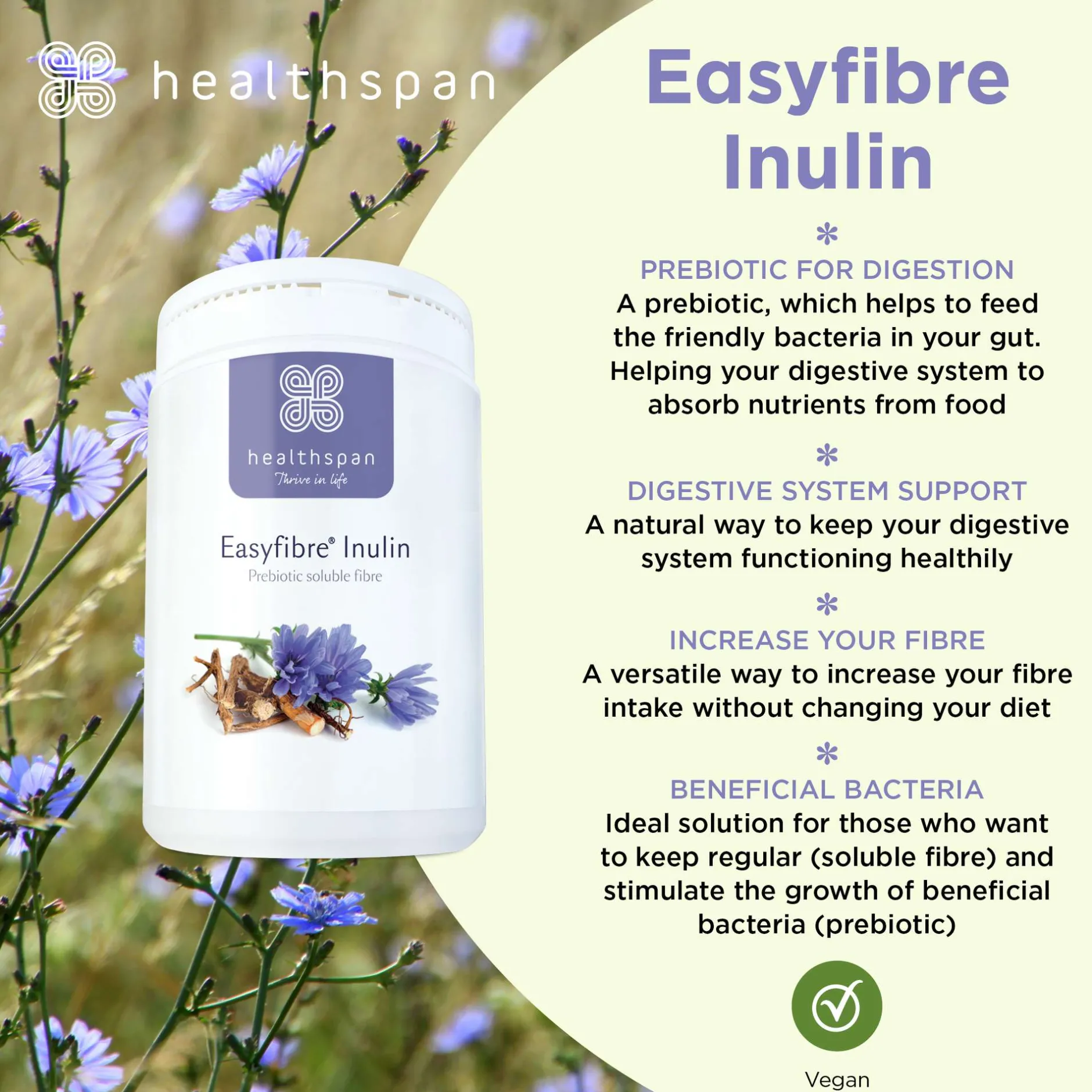 Healthspan Easyfibre® Inulin 450g Hot