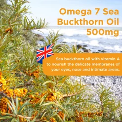 Healthspan Vitamins & Supplements Omega 7 Sea Buckthorn Oil Capsules x 60 Hot