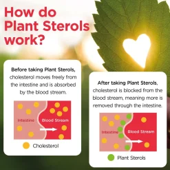 Healthspan Vitamins & Supplements Plant Sterols Cholesterol Support Tablets x 90 Sale