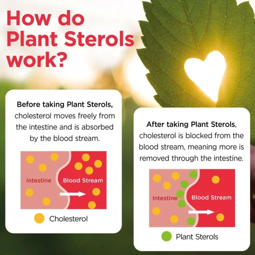 Healthspan Vitamins & Supplements Plant Sterols Cholesterol Support Tablets x 90 Sale
