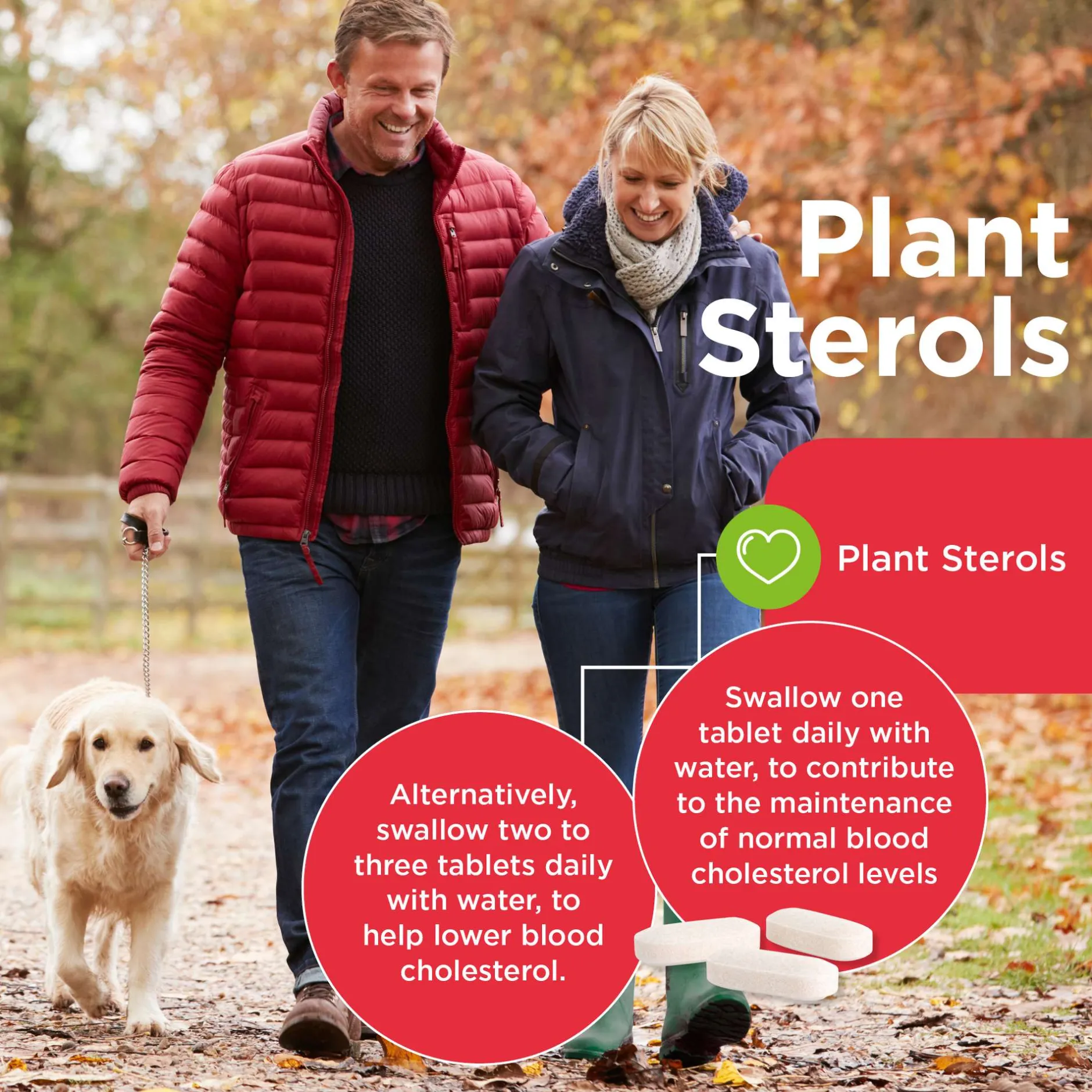 Healthspan Vitamins & Supplements Plant Sterols Cholesterol Support Tablets x 90 Sale