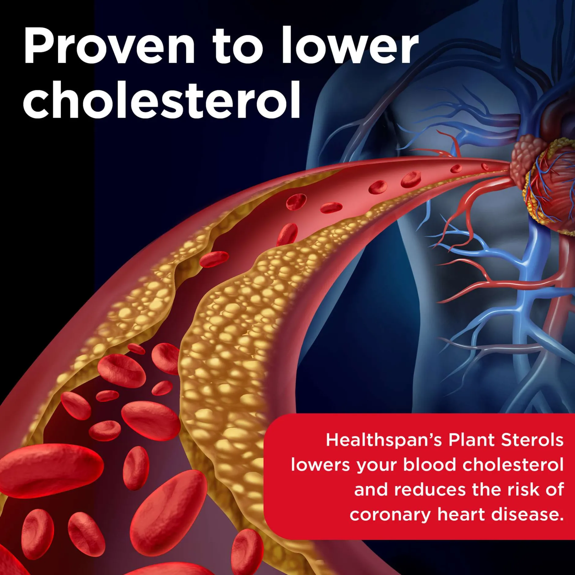 Healthspan Vitamins & Supplements Plant Sterols Cholesterol Support Tablets x 90 Sale