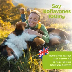 Healthspan Vitamins & Supplements Soy Isoflavones Tablets x 120 Online