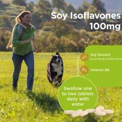Healthspan Vitamins & Supplements Soy Isoflavones Tablets x 120 Online