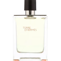Hermès Terre d’ Eau de Toilette Spray 100ml