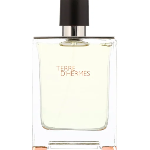 Hermès Terre d’ Eau de Toilette Spray 100ml