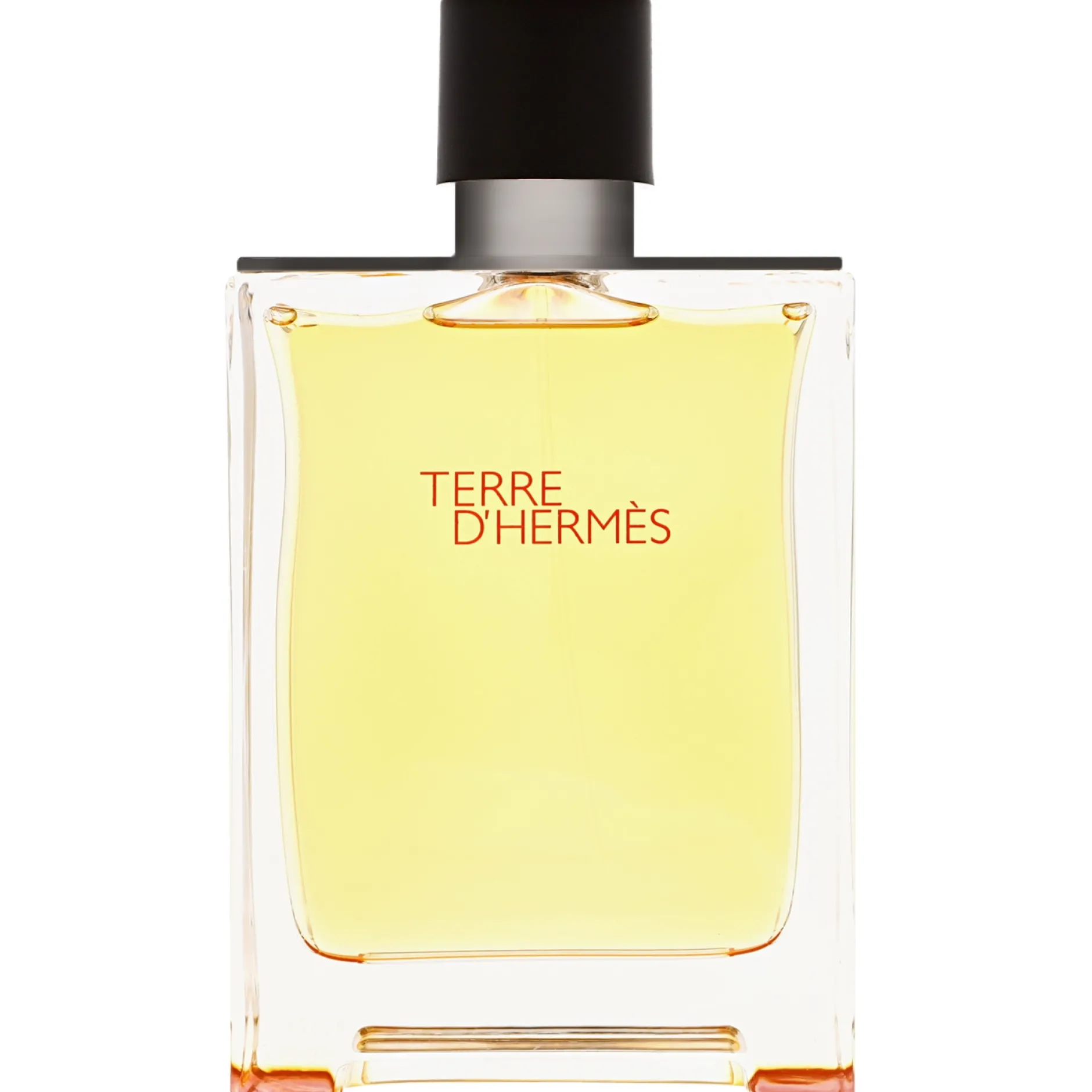 Hermès Terre d’ Pure Parfum Spray 200ml New