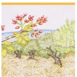 Hermès Un Jardin A Cythere Perfumed Soap 100g Best