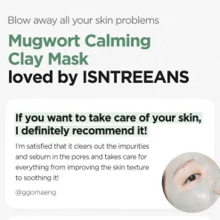 Isntree Skincare Mugwort Calming Clay Mask 100ml Sale