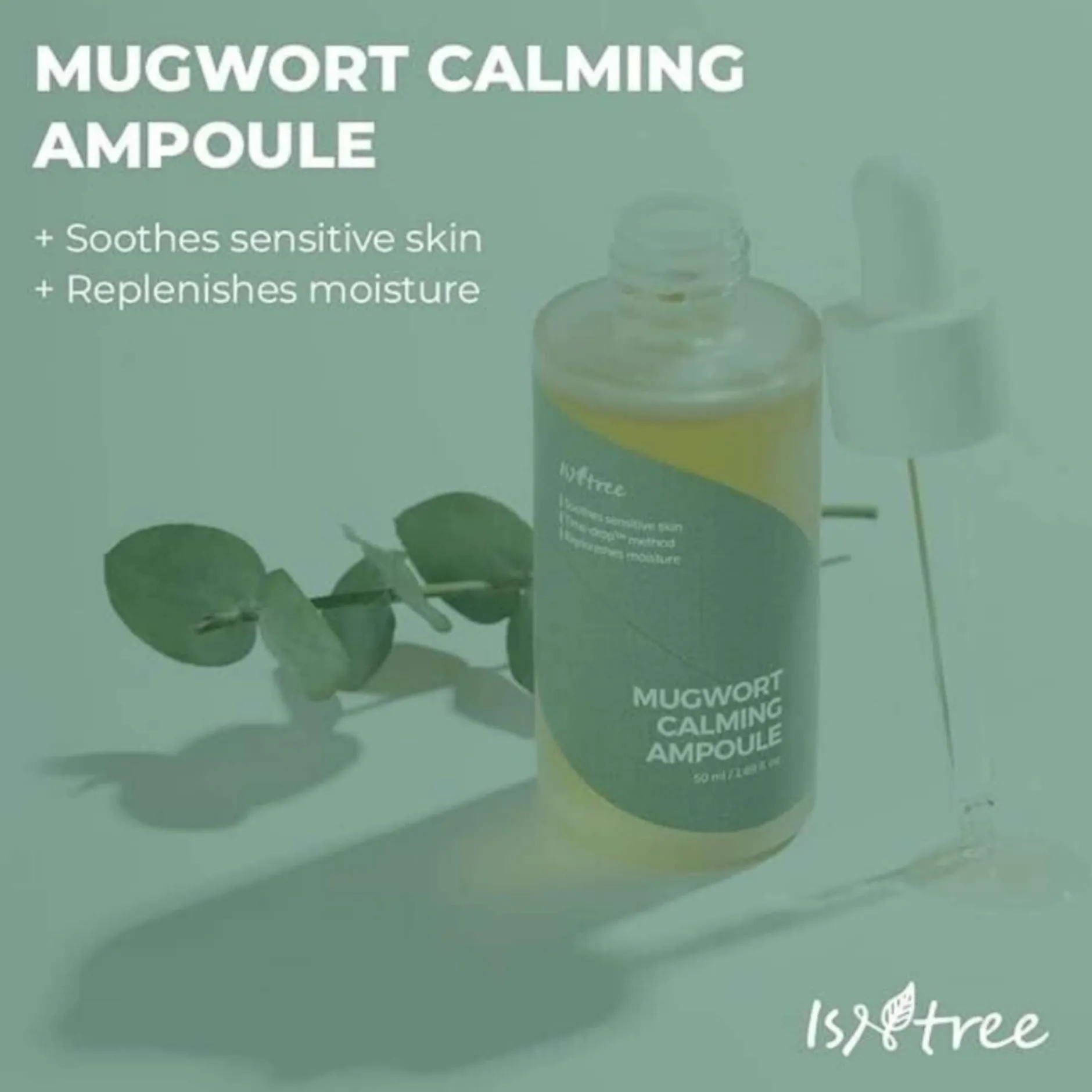 Isntree Skincare Mugwort Calming Ampoule 50ml Best