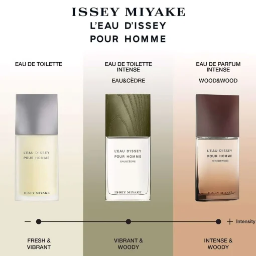 Issey Miyake L'Eau d'Issey Pour Homme Eau de Toilette Refill 150ml