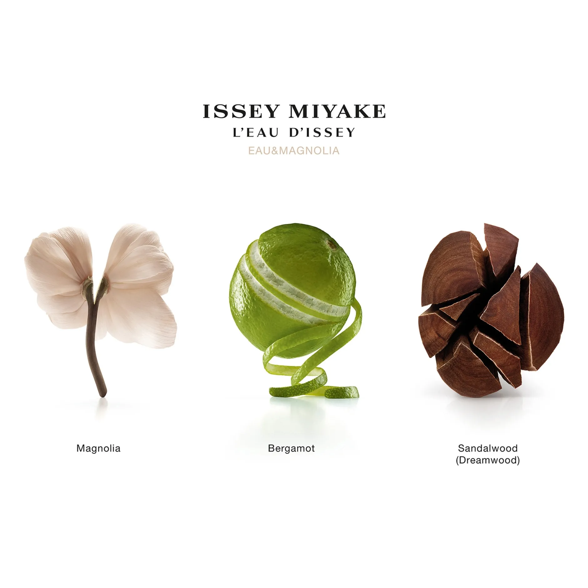Issey Miyake L'Eau d'Issey Eau & Magnolia Eau de Toilette Intense Spray 100ml