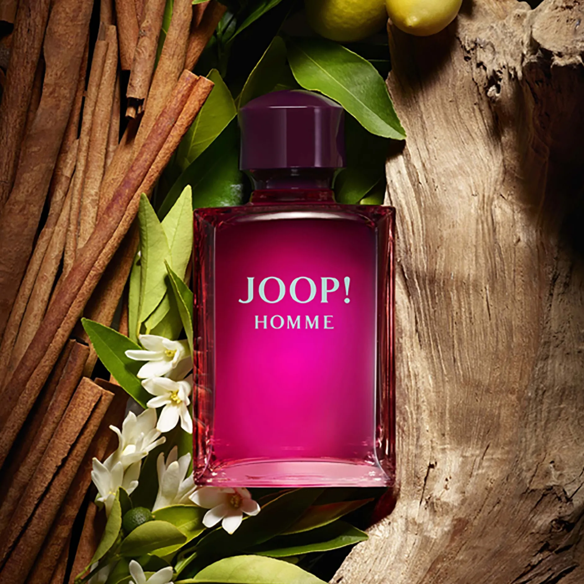 JOOP! Homme Eau de Toilette Spray 200ml Sale