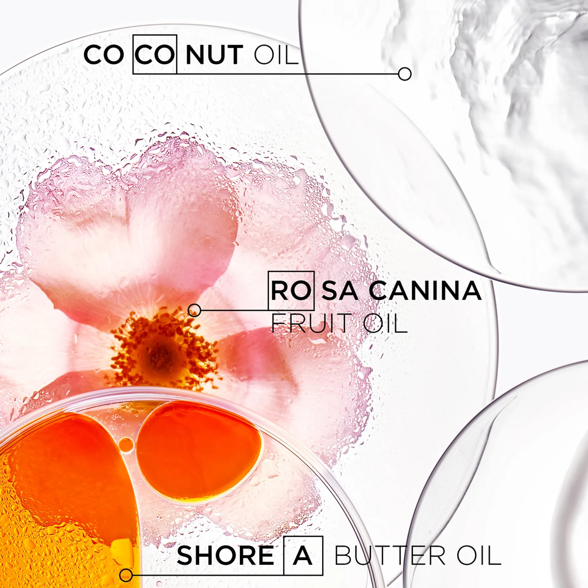 Kérastase Discipline Bain Oléo-Relax: Control-In-Motion Shampoo 250ml Online