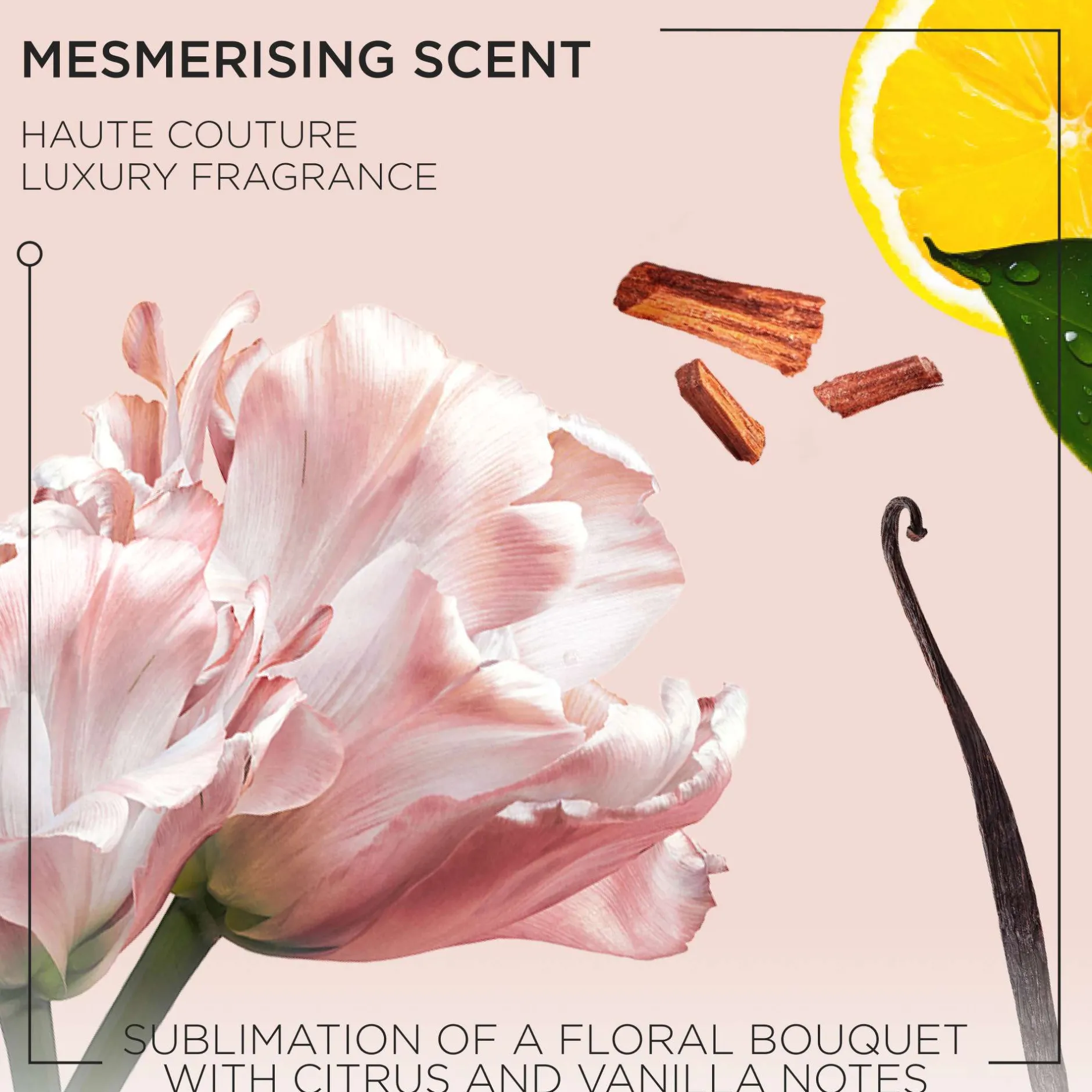 Kérastase Gloss Absolu Conditioner for All Hair Types with Glycolic Acid, Hyaluronic Acid & Wild Rose 75ml Discount