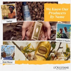 L'OCCITANE Shea Butter Intensive Hand Balm 150ml Best