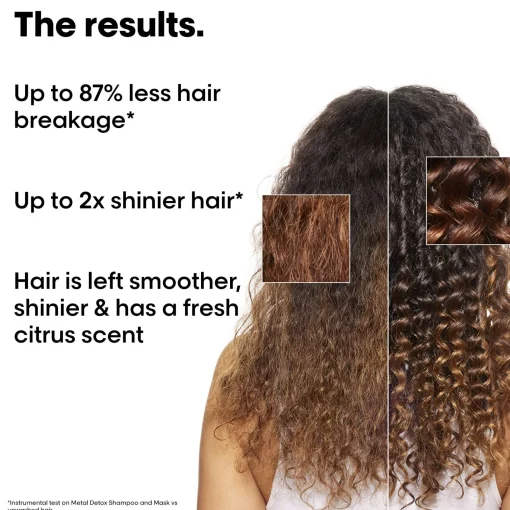 L'Oréal Professionnel Metal Detox Mini Shampoo & Hair Mask Kit Discount